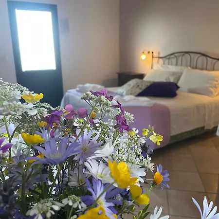 Agriturismo Valle Martina-2